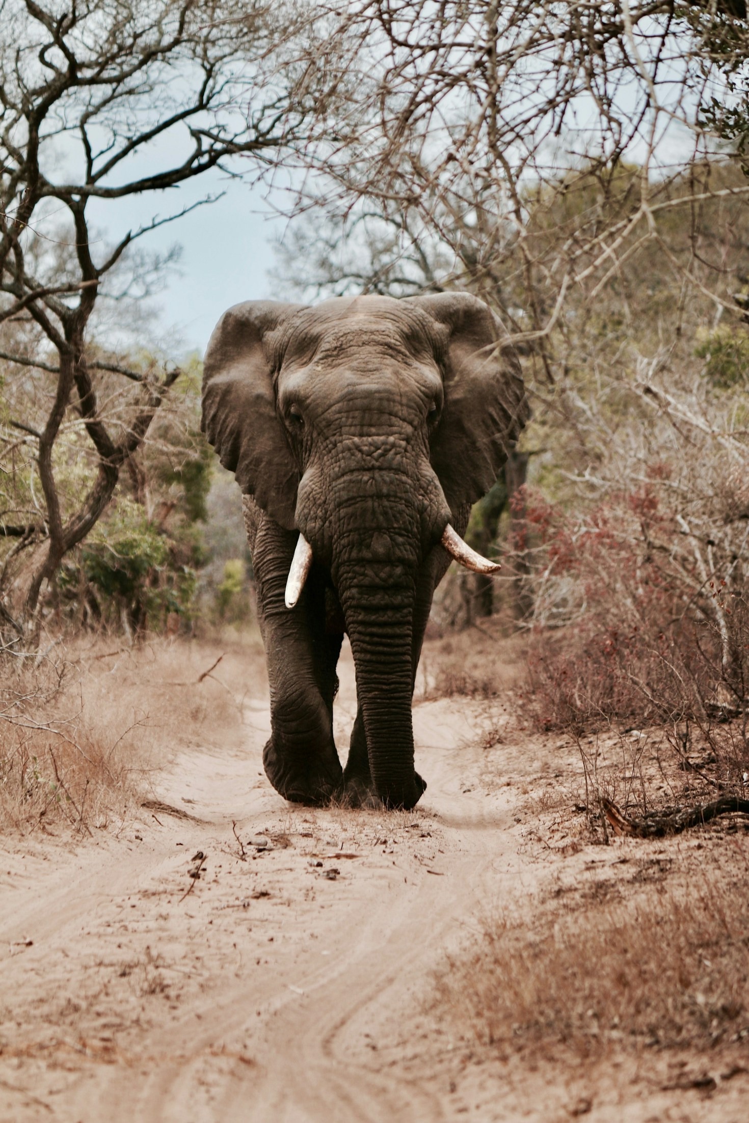 Navigating The Changing Political Landscape In Africa