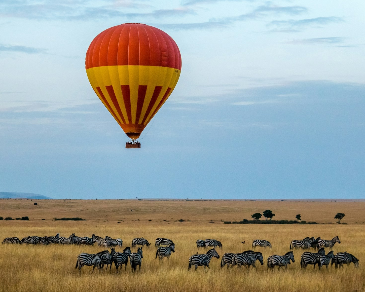 Top Trends Shaping Emerging African Economies Today
